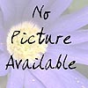 Gallardia Grandiflora - Baby Cole